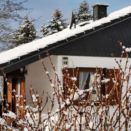 BB19 Eifel-Ferienhaus am Moseltal mit Saunahaus Beuren  Exterior foto