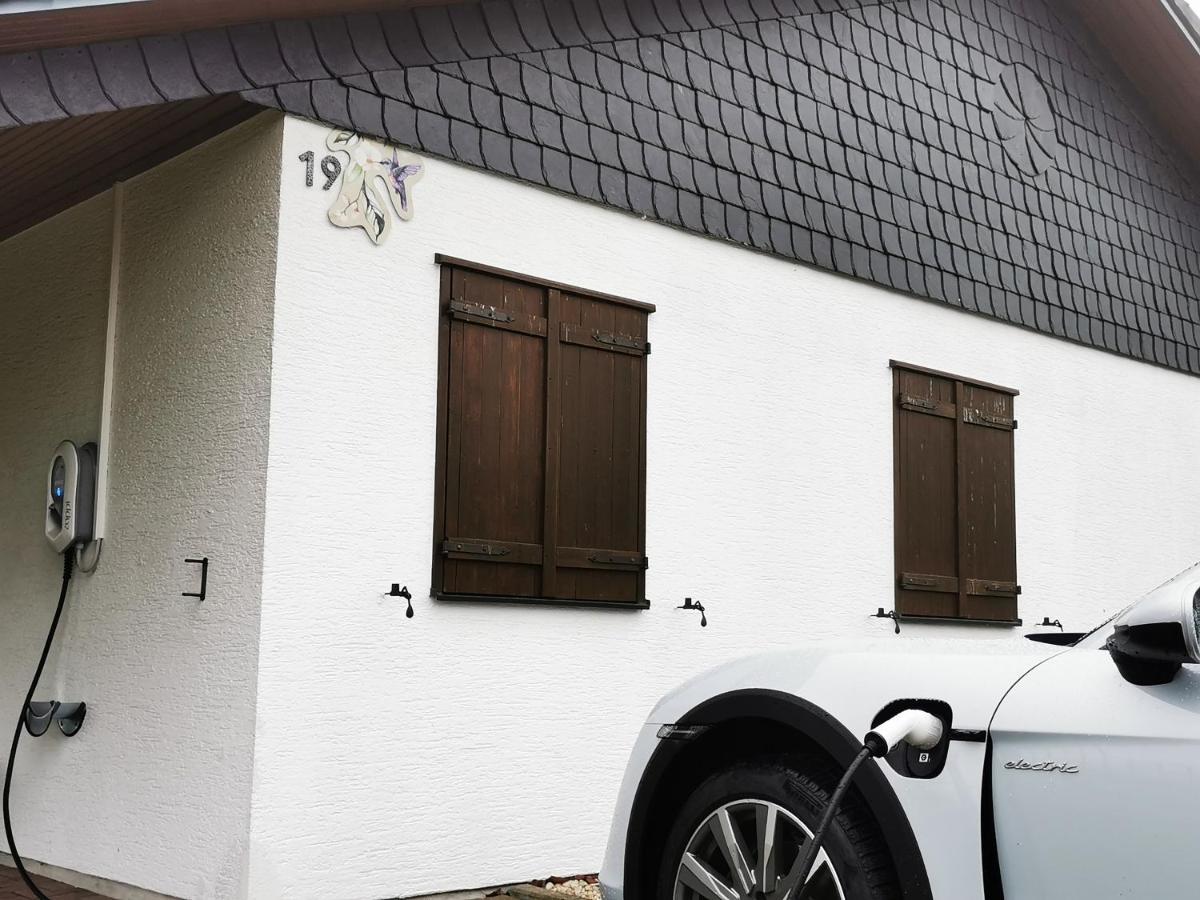 BB19 Eifel-Ferienhaus am Moseltal mit Saunahaus Beuren  Exterior foto